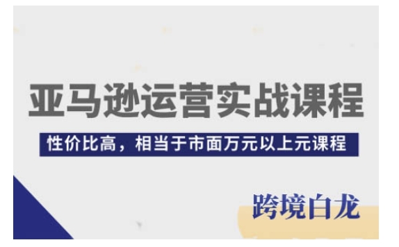 亚马逊运营实战课程，亚马逊从入门到精通，性价比高，相当于市面万元以上元课程-纵横项目网