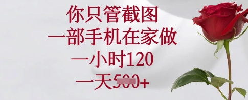 你只管截图，一部手机在家做，一小时120.一天5张【揭秘】-纵横项目网