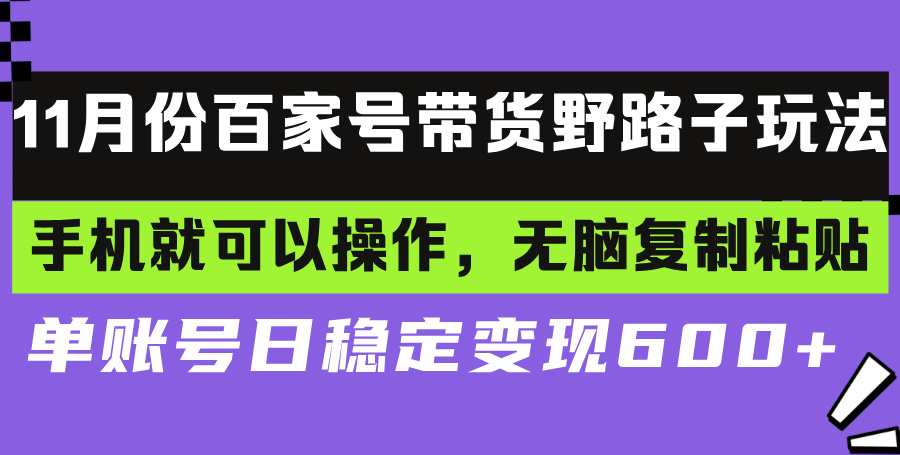 百家号带货野路子玩法 手机就可以操作，无脑复制粘贴 单账号日稳定变现…-纵横项目网