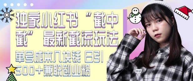 最新小红书截流玩法 独家截中截 单号成本几块钱 日引500+CY粉JZ粉-纵横项目网