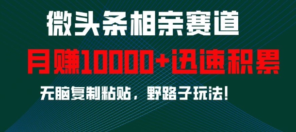 微头条相亲赛道，迅速积累，无脑复制粘贴，野路子玩法，月入1w-纵横项目网
