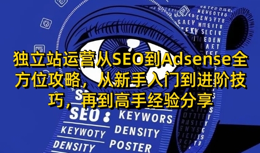 独立站运营从SEO到Adsense全方位攻略，从新手入门到进阶技巧，再到高手经验分享-纵横项目网