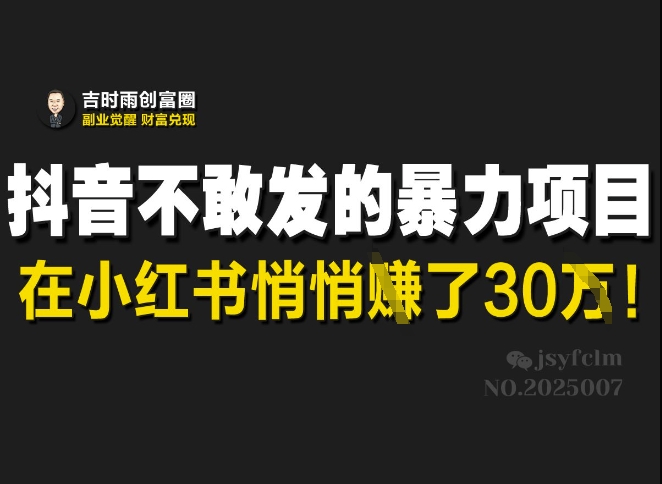 抖音不敢发的暴利项目，在小红书悄悄挣了30W-纵横项目网