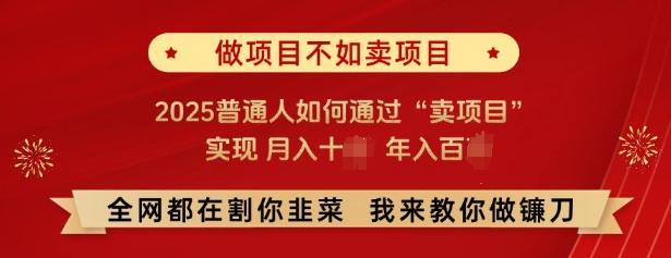 必看，做项目不如卖项目，2025普通人如何通过“卖项目”实现月入十个，年入百个-纵横项目网