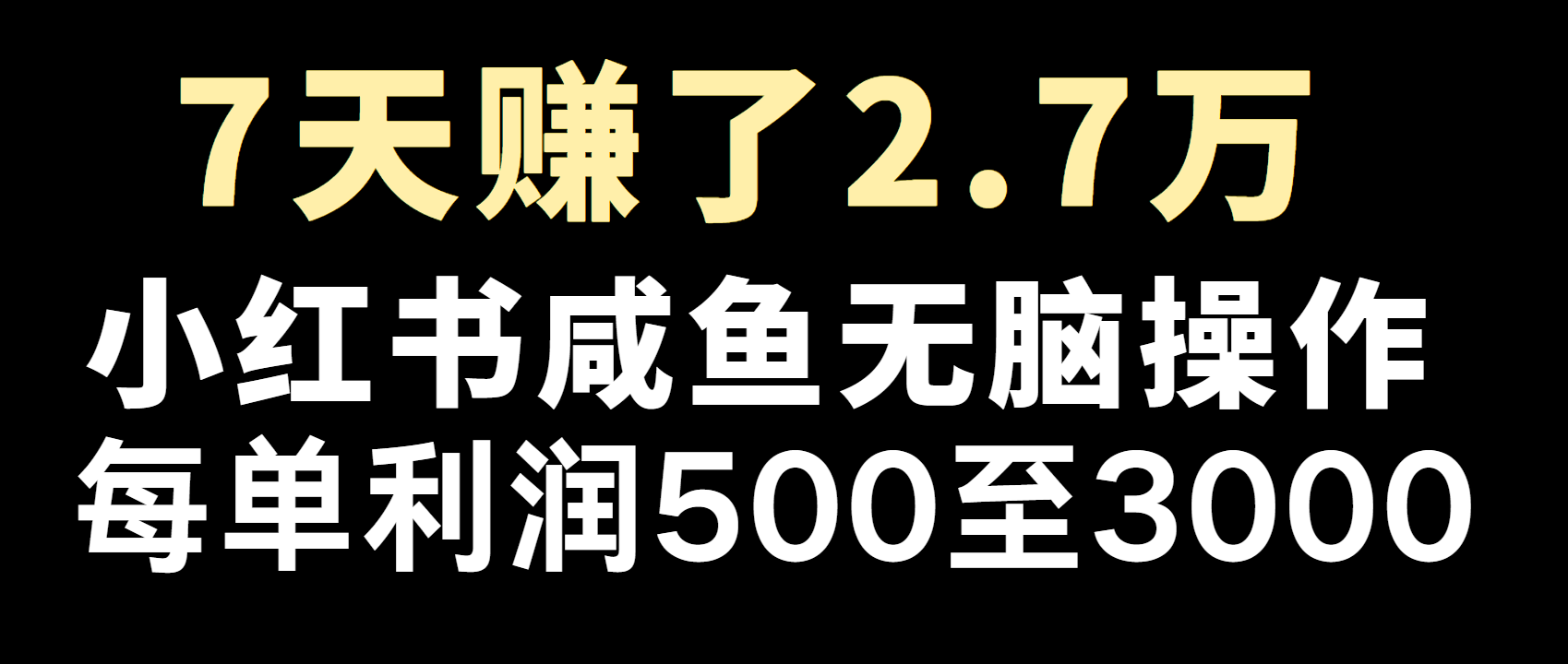 全网首发，7天赚了2.6万，2025利润超级高！-纵横项目网
