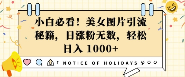 小白必看，美女图片引流秘籍，日涨粉无数，轻松日入几张【揭秘】-纵横项目网