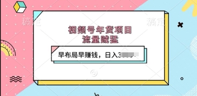 视频号年货项目，流量贼猛，早布局早挣钱，日入上k【揭秘】-纵横项目网