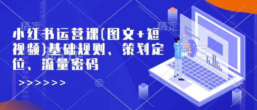 小红书运营课(图文+短视频)基础规则、策划定位、流量密码-纵横项目网
