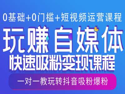 0基础+0门槛+短视频运营课程，玩赚自媒体快速吸粉变现课程，一对一教玩转抖音吸粉爆粉-纵横项目网