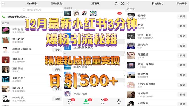 12月最新小红书3分钟爆粉引流秘籍 精准私域流量变现 日引500+-纵横项目网