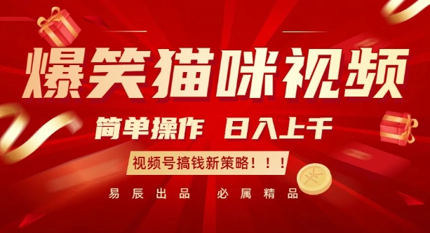 爆笑猫咪视频：简单操作，日入过K，视频号搞钱新策略【揭秘】-纵横项目网