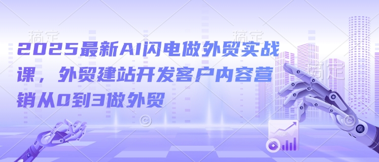 2025最新AI闪电做外贸实战课，外贸建站开发客户内容营销从0到3做外贸-纵横项目网