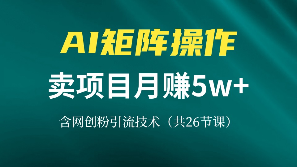 网创IP打造课，借助AI卖项目月赚5万+，含引流技术(共26节课-纵横项目网