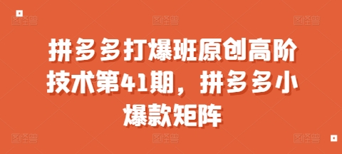 拼多多打爆班原创高阶技术第41期，拼多多小爆款矩阵-纵横项目网