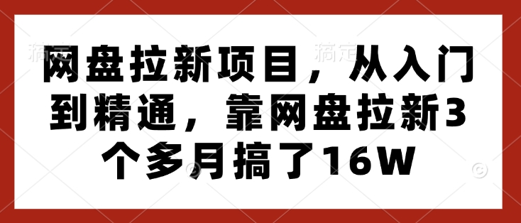 网盘拉新项目，从入门到精通，靠网盘拉新3个多月搞了16W-纵横项目网