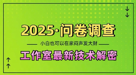 2025问卷调查最新工作室技术解密：一个人在家也可以闷声发大财，小白一天2张，可矩阵放大【揭秘】-纵横项目网