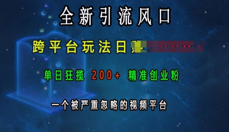 全新引流风口，跨平台玩法日入上k，单日狂揽200+精准创业粉，一个被严重忽略的视频平台-纵横项目网