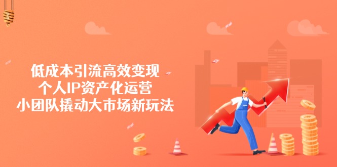 低成本引流高效变现，个人IP资产化运营，小团队撬动大市场新玩法-纵横项目网