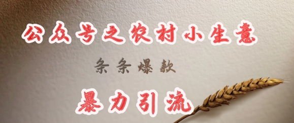 deepseek写农村小项目，条条爆款，暴力引流-纵横项目网