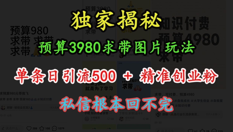 预算3980求带 图片玩法，单条日引流500+精准创业粉，私信根本回不完-纵横项目网