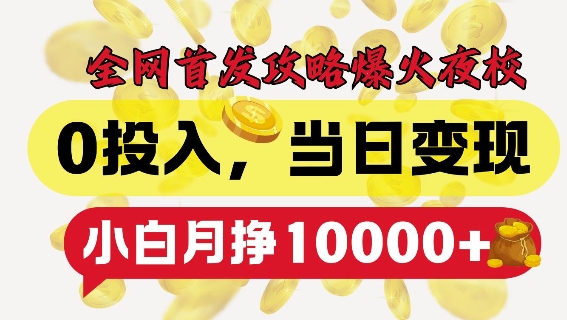 全网首发爆火夜校，0投入，当日变现，小白轻松月入1w+【揭秘】-纵横项目网