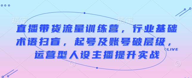 直播带货流量训练营，行业基础术语扫盲，起号及账号破层级，运营型人设主播提升实战-纵横项目网