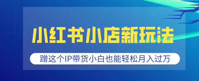 小红书小店新玩法，蹭这个IP带货，小白也能轻松月入过W【揭秘】-纵横项目网