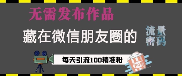 藏在微信朋友圈的流量密码，无需发布作品，单日引流100+精准创业粉【揭秘】-纵横项目网