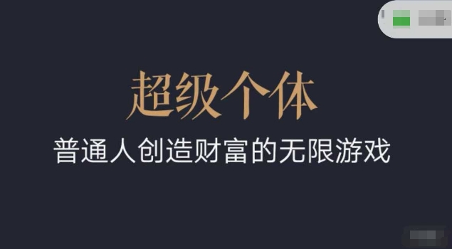 超级个体2024-2025翻盘指南，普通人创造财富的无限游戏-纵横项目网