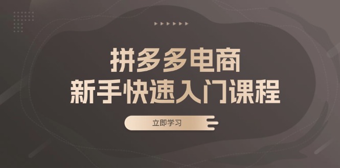 拼多多电商新手快速入门课程：涵盖基础、实战与选款，助力小白轻松上手-纵横项目网