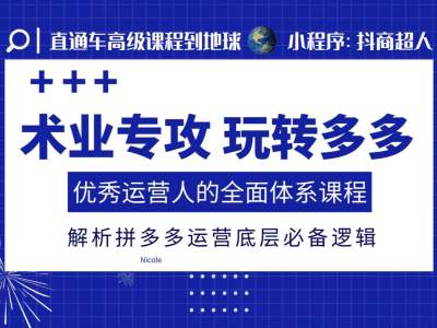 术业专攻玩转多多，优秀运营人的全面体系课程，解析拼多多运营底层必备逻辑-纵横项目网
