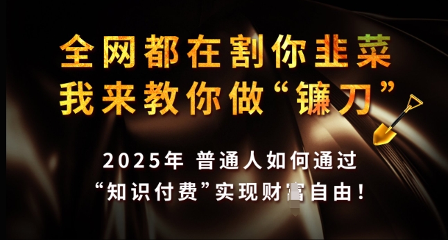 全网都在割你韭菜，我来教你做镰刀，2025年普通人如何通过 知识付费 实现财F自由【揭秘】-纵横项目网