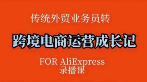 跨境电商速卖通运营课，​运营方法论+后台实操，逻辑清晰-纵横项目网