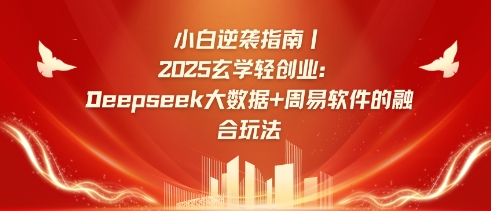 小白逆袭指南，2025玄学轻创业：Deepseek大数据+周易算法的融合玩法-纵横项目网