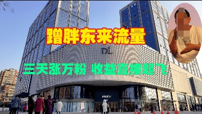 蹭胖东来流量，三天涨万粉，收益直接起飞-纵横项目网