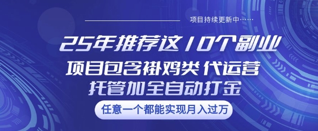 25年推荐这10个副业项目包含褂鸡类、代运营托管类、全自动打金类【揭秘】-纵横项目网