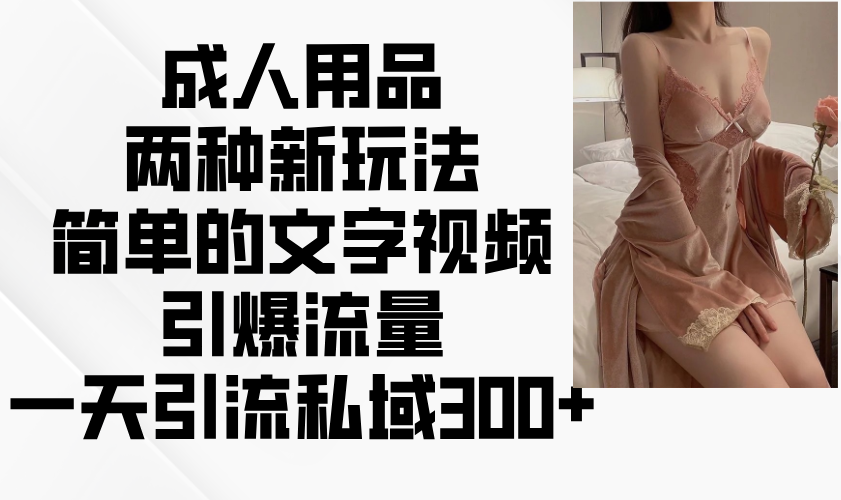 成人用品两种新玩法，简单的文字视频引爆流量，一天引流私域300+-纵横项目网