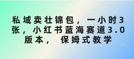 私域卖壮锦包，一小时3张，小红书蓝海赛道3.0版本， 保姆式教学-纵横项目网