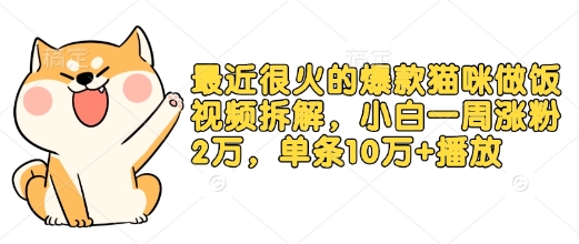 最近很火的爆款猫咪做饭视频拆解，小白一周涨粉2万，单条10万+播放(附保姆级教程)-纵横项目网