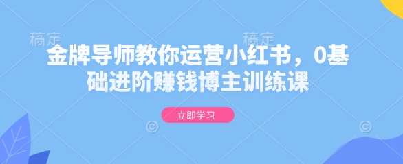 金牌导师教你运营小红书，0基础进阶赚钱博主训练课-纵横项目网