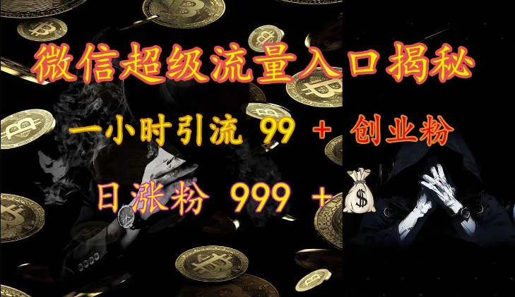 微信超级流量入口揭秘：一小时引流 99 + 创业粉，日涨粉 999 +-纵横项目网