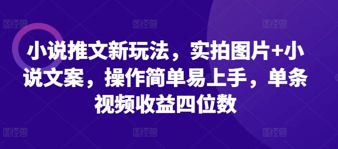 小说推文新玩法，实拍图片+小说文案，操作简单易上手，单条视频收益四位数-纵横项目网