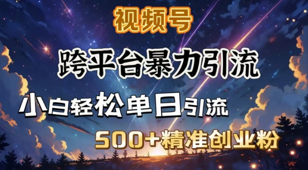 跨平台暴力引流，私域完美闭环，日引500+精准创业粉-纵横项目网
