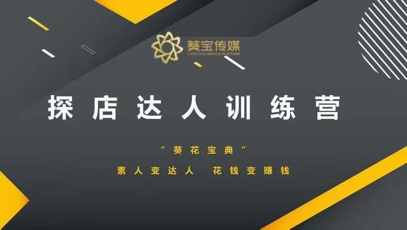 探店达人训练营，素人变达人，花钱变赚钱-纵横项目网