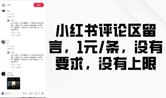 小红书评论区留言，1元条，没有要求，没有上限-纵横项目网