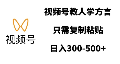 视频号教人学方言，只需复制粘贴，日入多张-纵横项目网