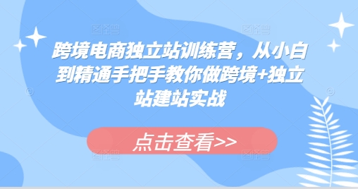 跨境电商独立站训练营，从小白到精通手把手教你做跨境+独立站建站实战-纵横项目网