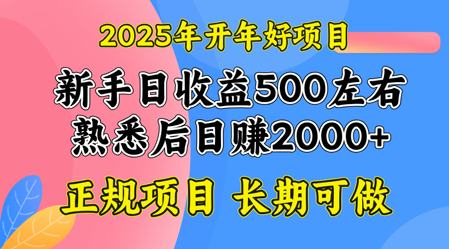 2025开年好项目，单号日收益2000左右-纵横项目网