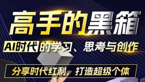 高手的黑箱：AI时代学习、思考与创作-分红时代红利，打造超级个体-纵横项目网