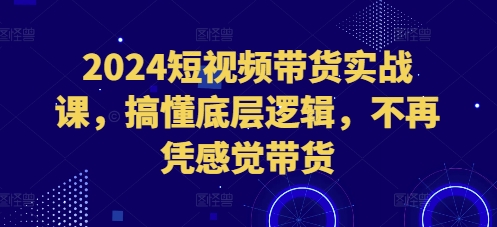 2024短视频带货实战课，搞懂底层逻辑，不再凭感觉带货-纵横项目网